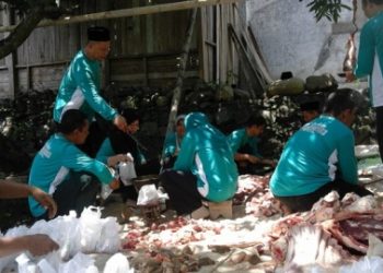 Pokjaluh Peduli Kurban Bagikan 4 sapi dan 8 kambing