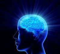 Perubahan Mindset adalah Kunci Terbentuknya Zona Integritas