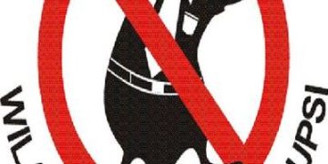 Tim Kerja Pembangunan Zona Integritas dibentuk, harapan untuk  untuk percepatan WBK